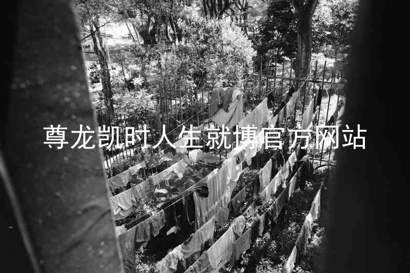 尊龙凯时人生就博官方网站