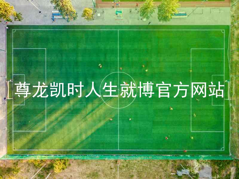 尊龙凯时人生就博官方网站