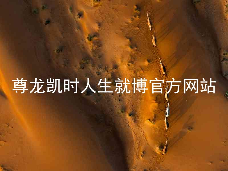 尊龙凯时人生就博官方网站